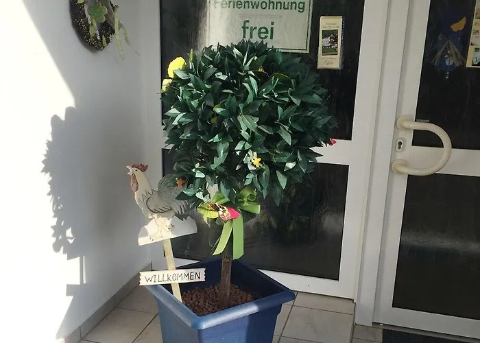 アパート Haus Zur Linde コッヘム